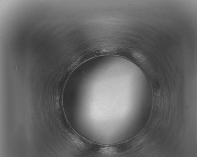 X0000060240269200511041305