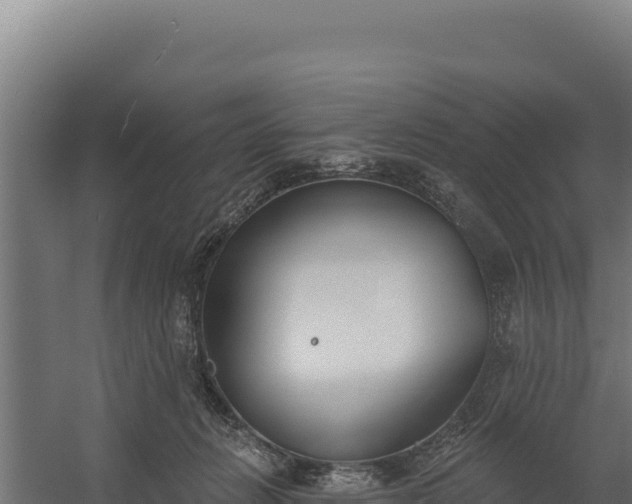 X0000060240270200511041305