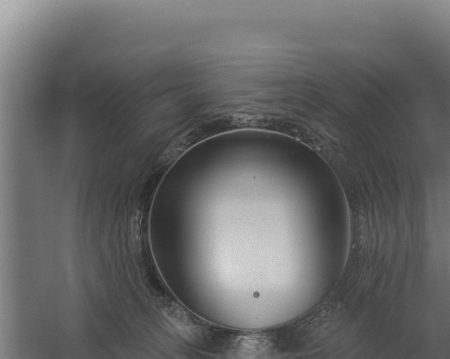 X0000060240275200511041305