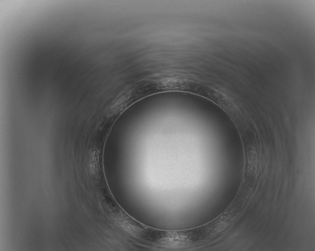 X0000060240278200511041305