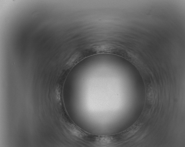 X0000060240282200511041305