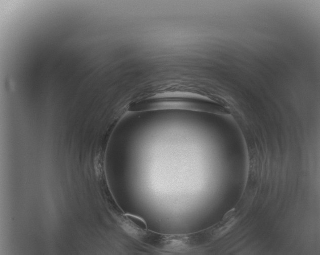 X0000060240285200511041305