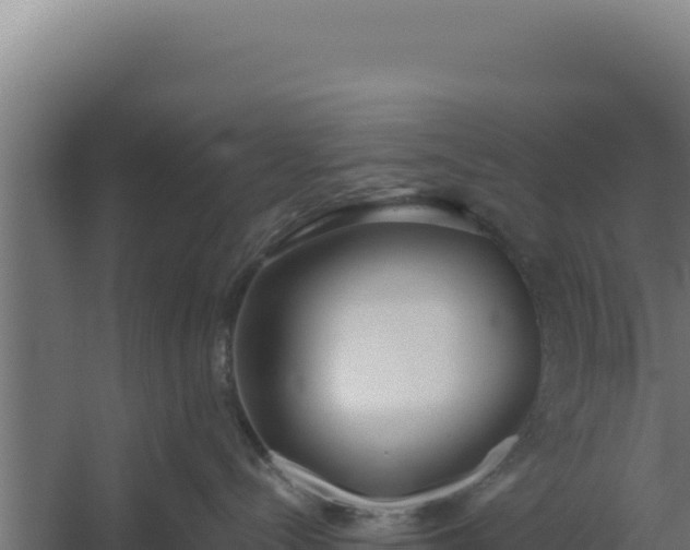 X0000060240288200511041305