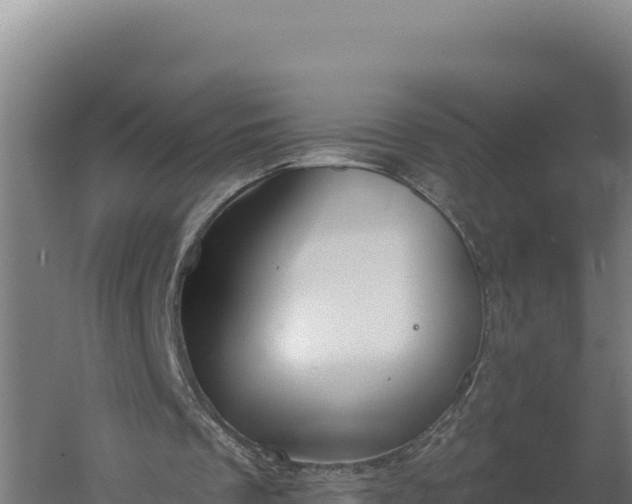 X0000060240289200511041304