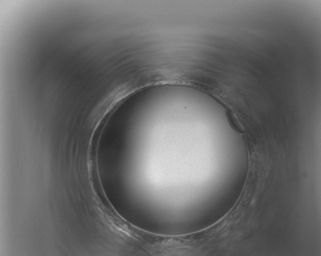 X0000060240290200511041304