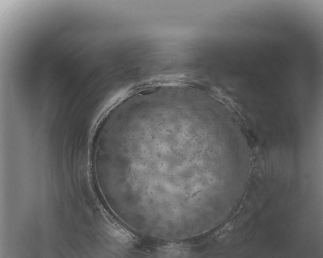 X0000060240293200511041304