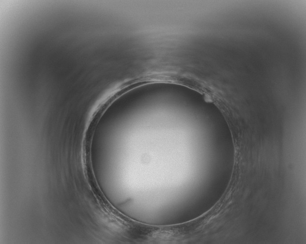 X0000060240294200511041304