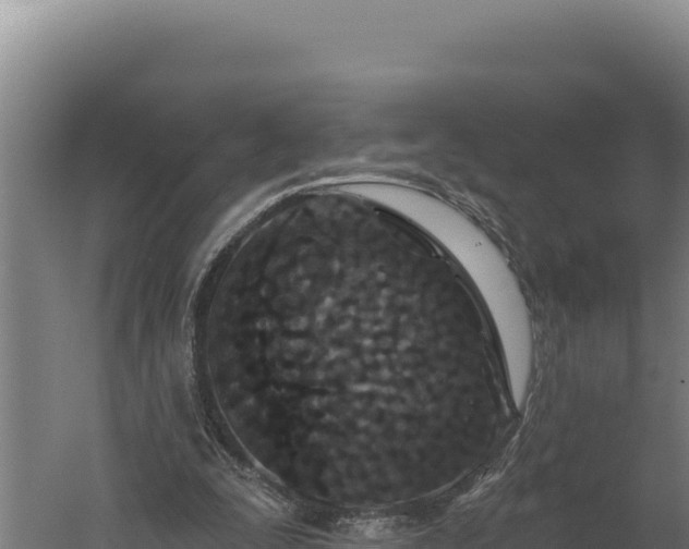 X0000060240295200511041304