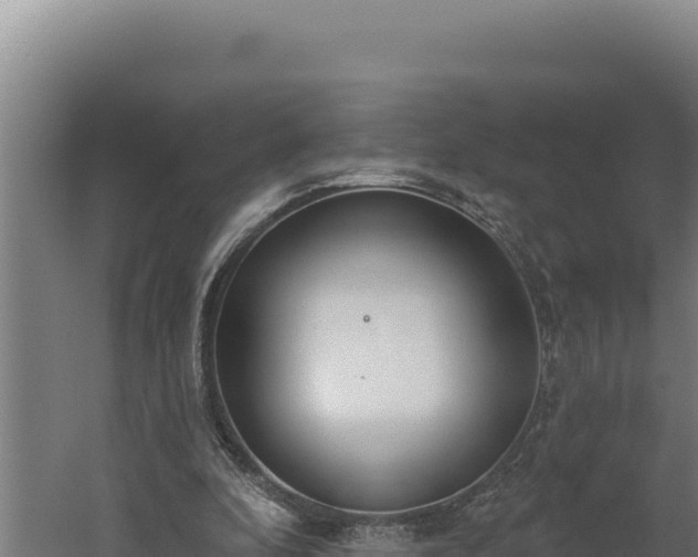 X0000060240296200511041304