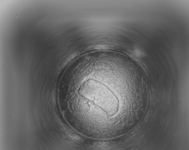 X0000060240297200511041304