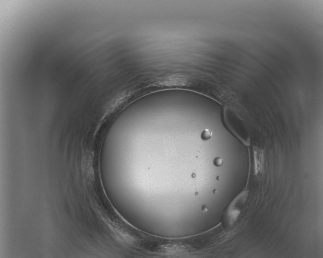 X0000060240300200511041304