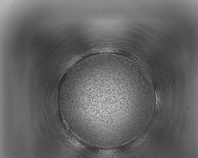 X0000060240301200511041304