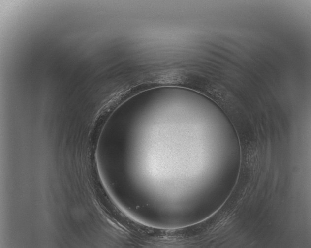 X0000060240303200511041304