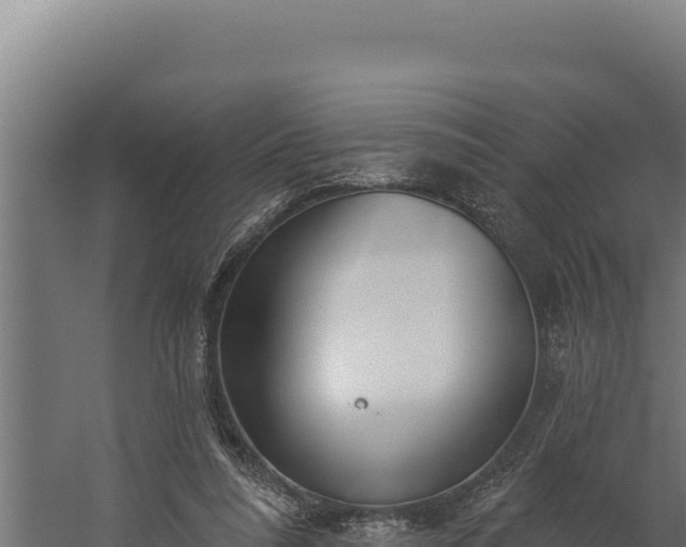 X0000060240304200511041304