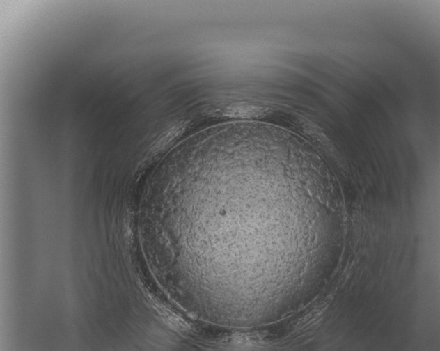 X0000060240305200511041304