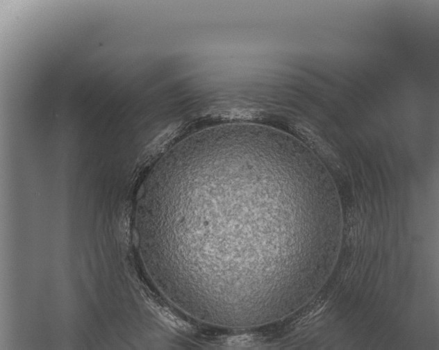 X0000060240309200511041304