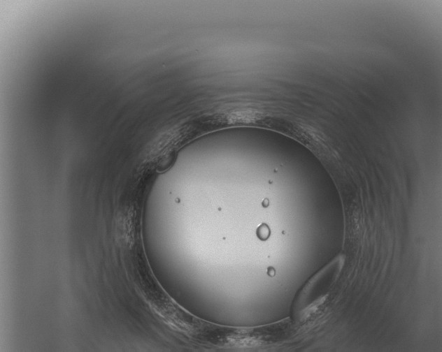 X0000060240311200511041304