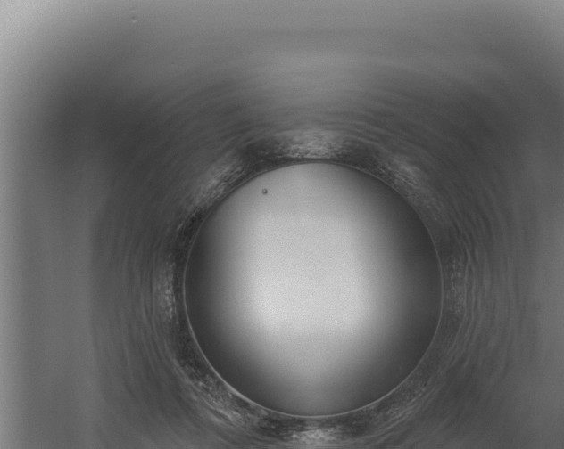 X0000060240312200511041304