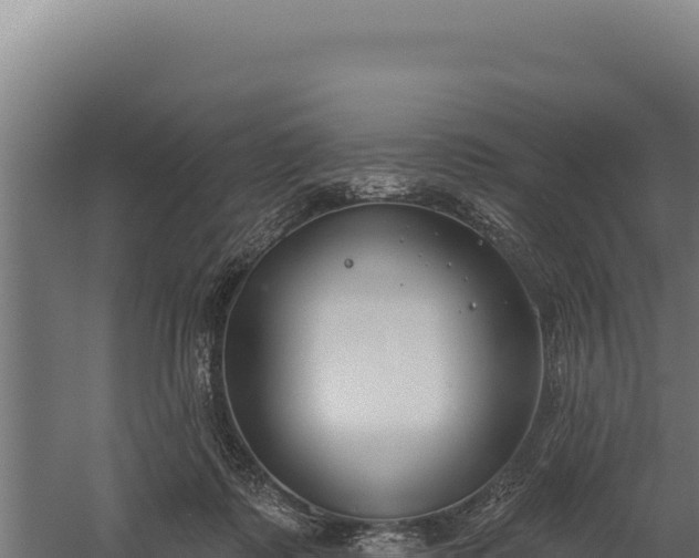 X0000060240315200511041304