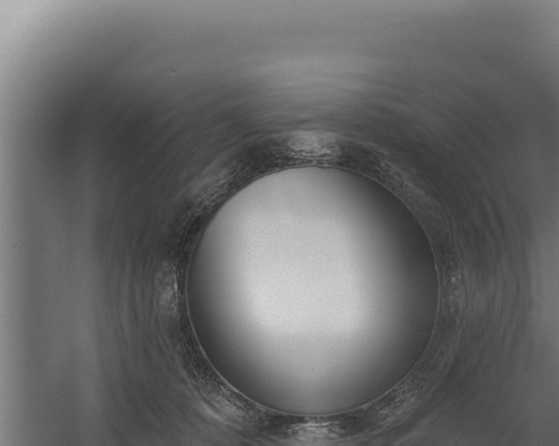 X0000060240320200511041304