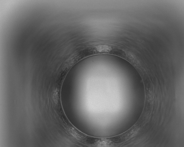 X0000060240321200511041304