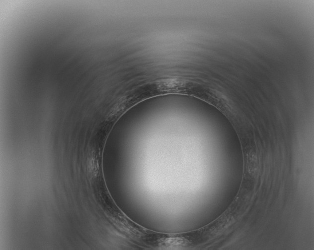 X0000060240324200511041303