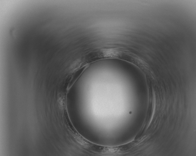 X0000060240329200511041303