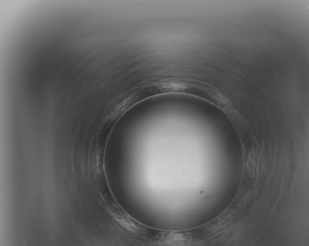 X0000060240330200511041303