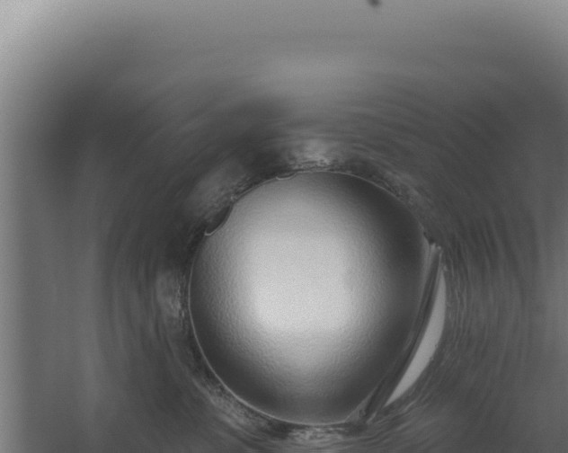 X0000060240331200511041303