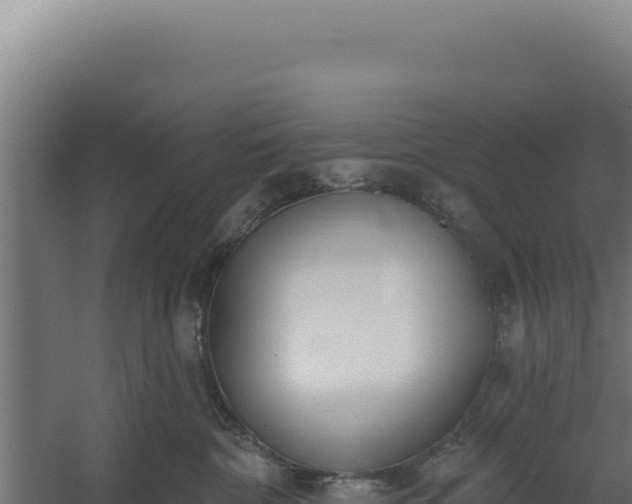 X0000060240332200511041303