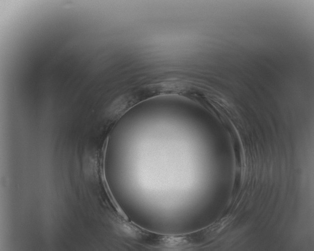 X0000060240333200511041303