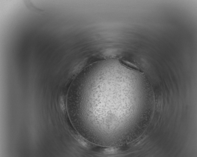 X0000060240335200511041303