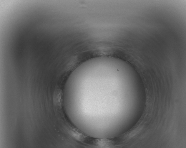 X0000060240336200511041303