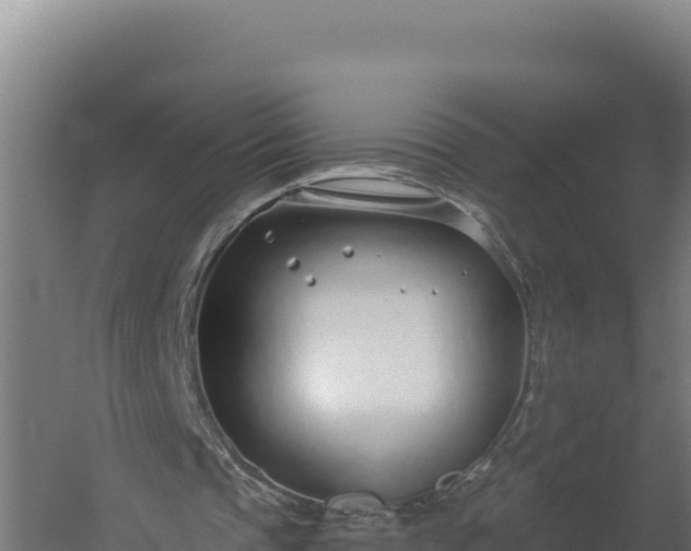 X0000060240337200511041302