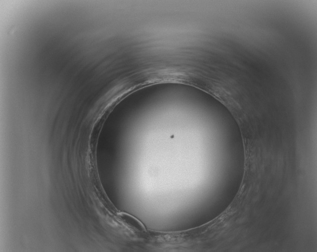 X0000060240338200511041302