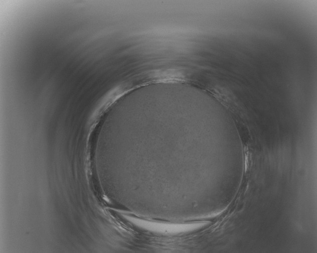 X0000060240339200511041303