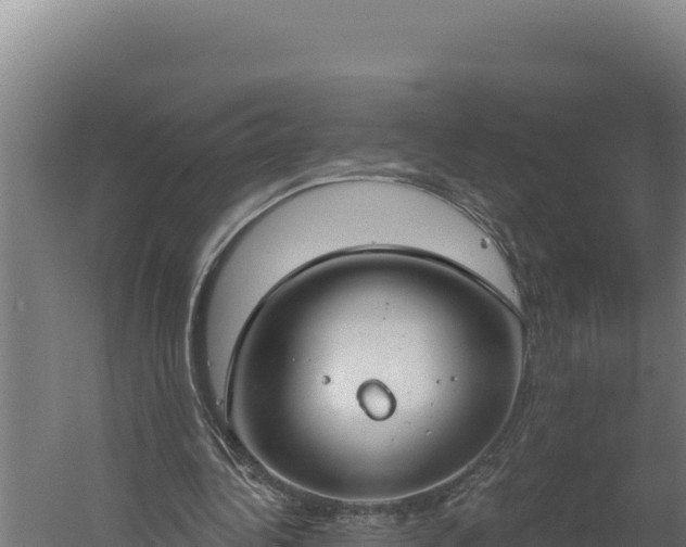 X0000060240340200511041303