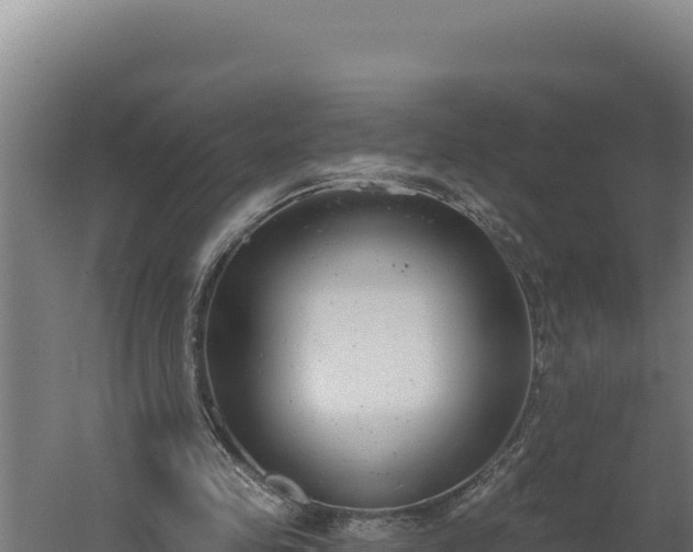 X0000060240341200511041303