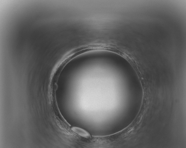 X0000060240343200511041303