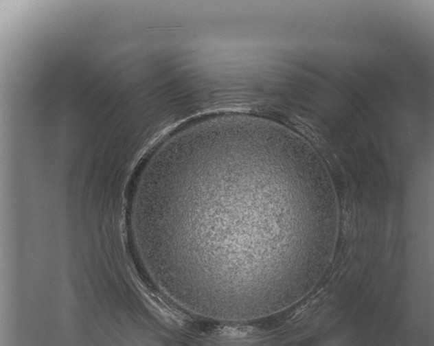 X0000060240346200511041303