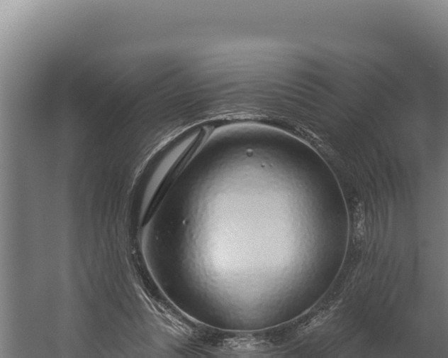 X0000060240351200511041303