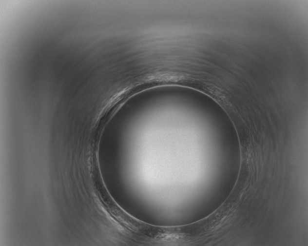 X0000060240352200511041303