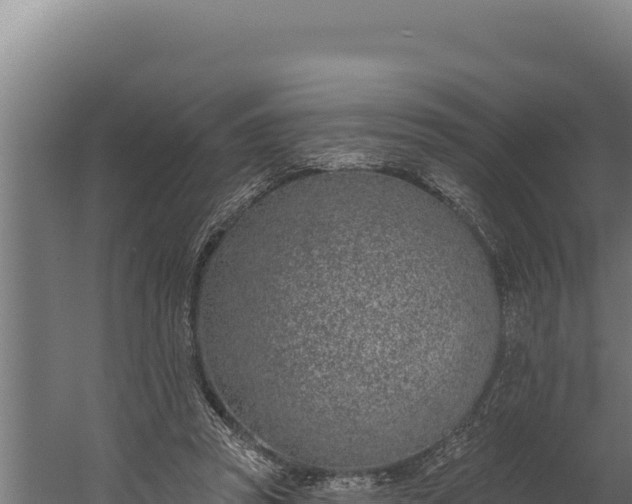 X0000060240353200511041303