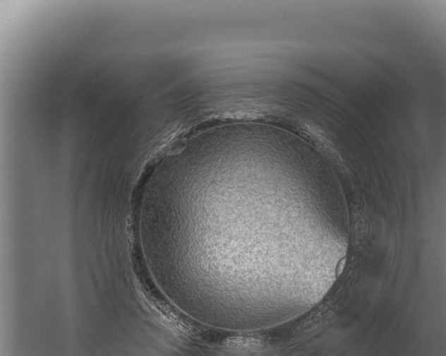 X0000060240354200511041303