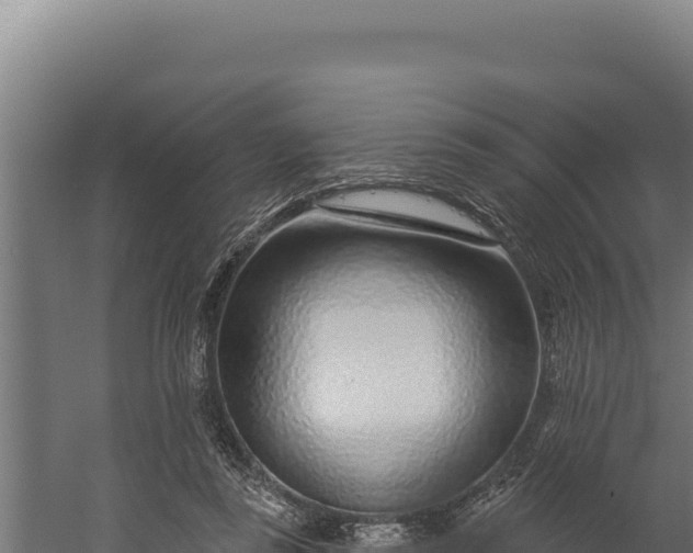 X0000060240355200511041303