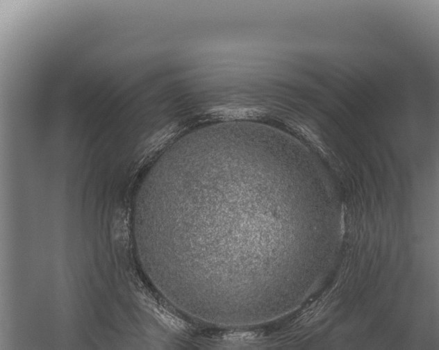 X0000060240357200511041303