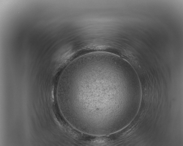 X0000060240358200511041303