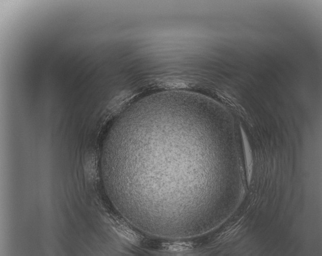 X0000060240359200511041303