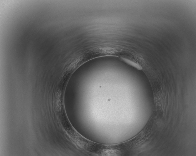 X0000060240360200511041303