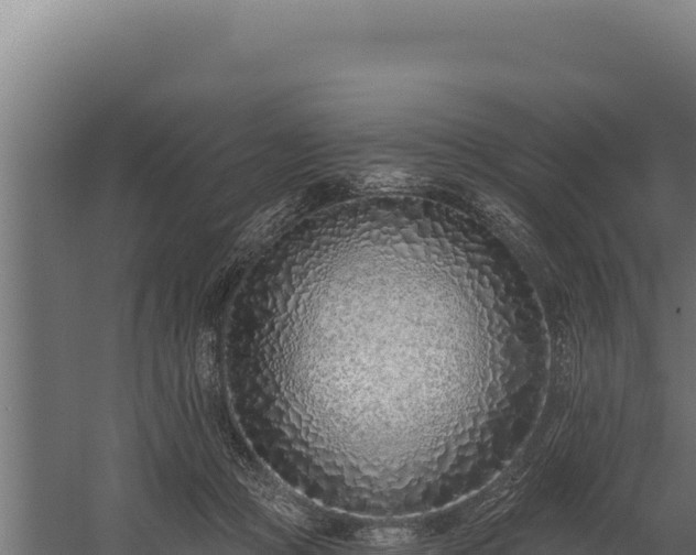 X0000060240361200511041303